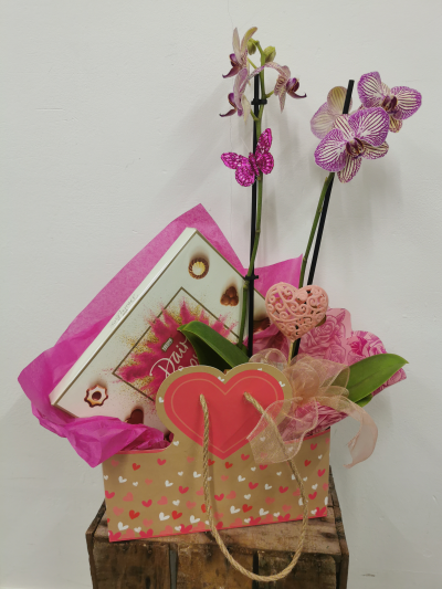 Love ❤️ Orchid and Diary box gift bag - An adorable love ❤️ gift bag that includes a gift wrapped orchid and a Dairy box of chocolates to enjoy