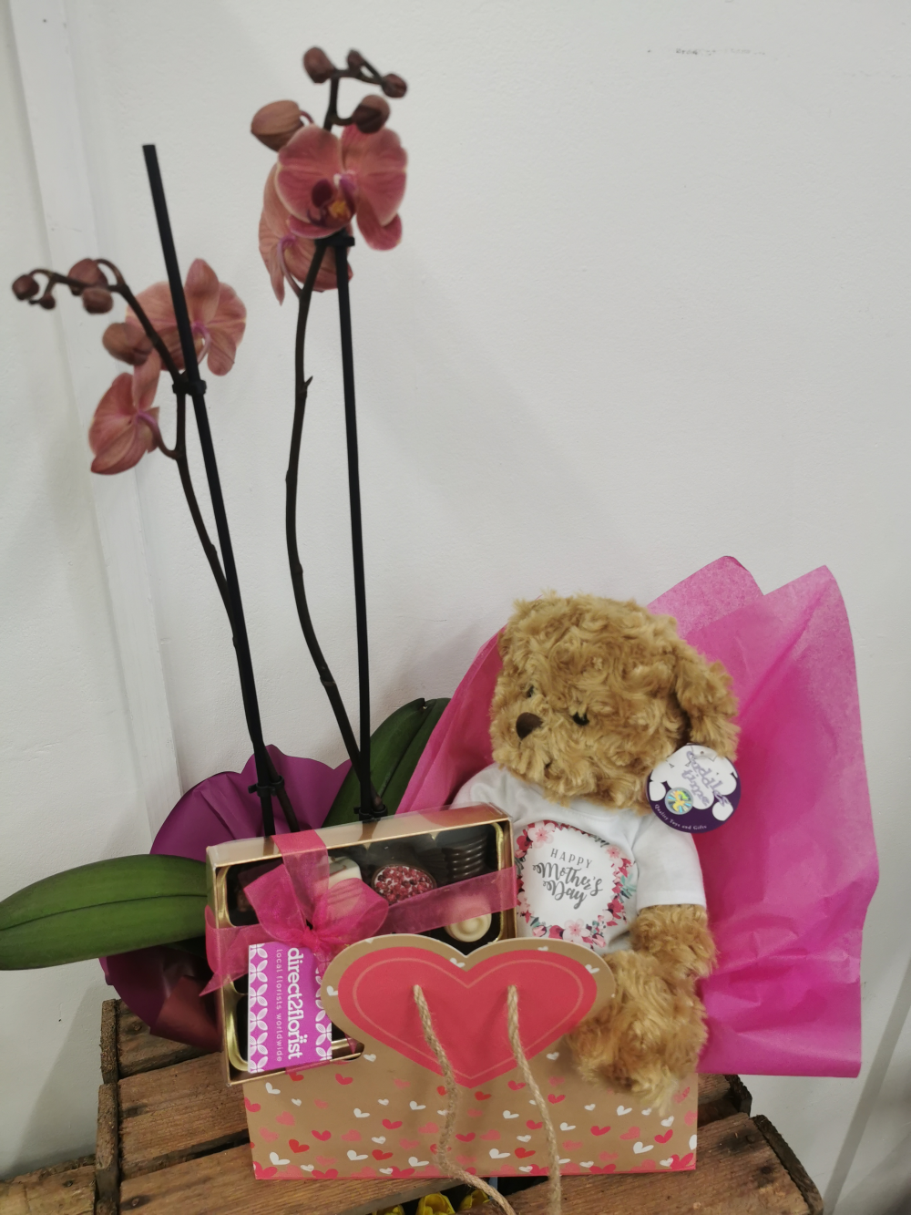 Mother's day orchid, bear and chocolates bag